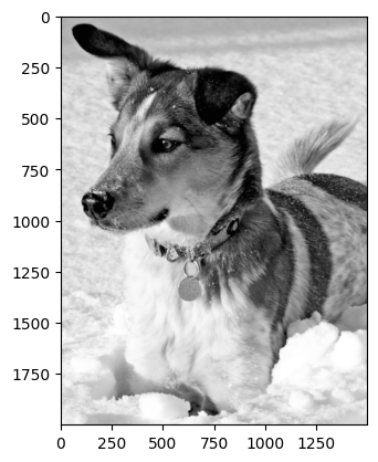 ../_images/e1d13a9b7ac94f26550df1c5f0ee8fe344a1967350ae13146496c0751c338594.png